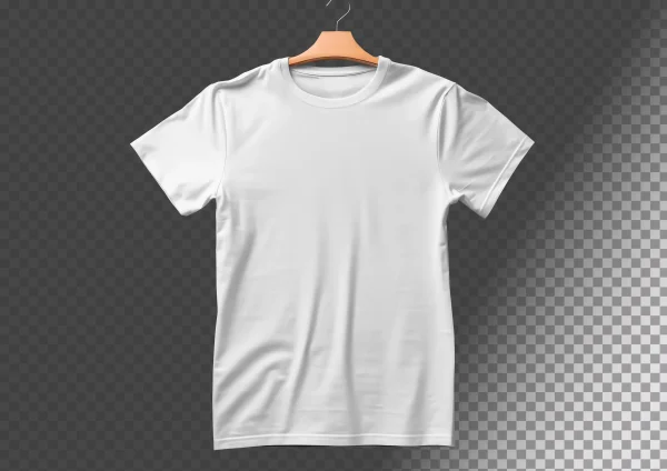 This is an image of Plain White T-shirt