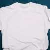 This is an image of Plain White T-shirt